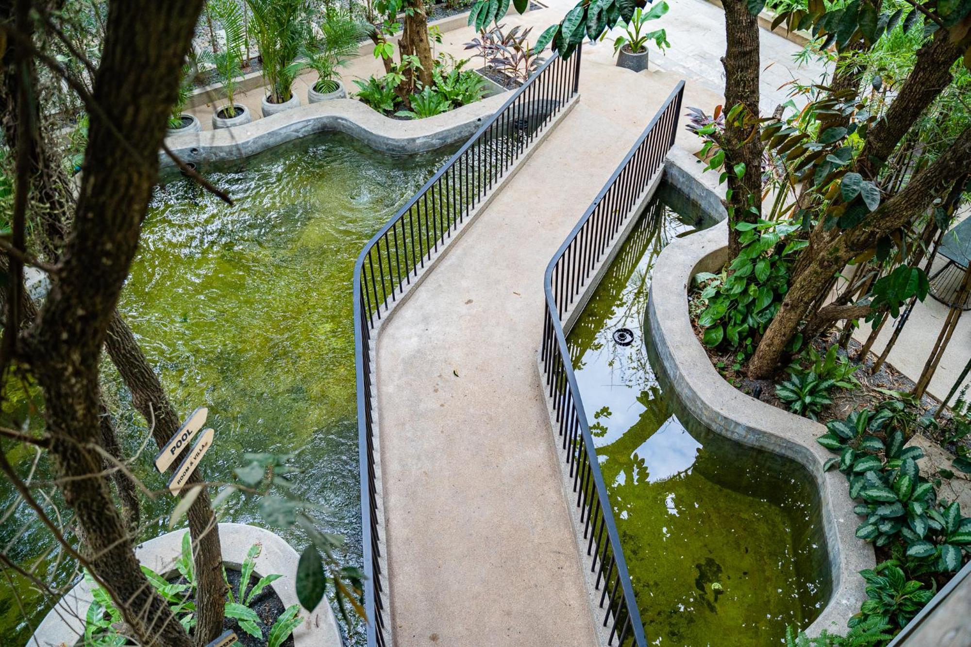Rainforest Hotel By Nsun Kâmpôt Zewnętrze zdjęcie